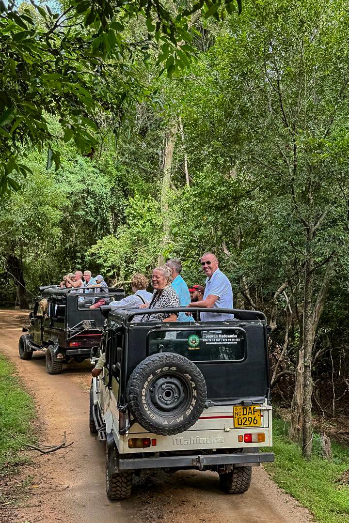 Sri Lanka Safari Guide: Yala, Udawalawe, Wilpattu and Minneriya Compared