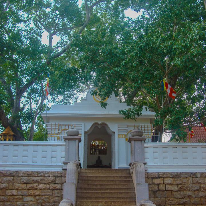Day 3 – Sri Maha Bodhi and Anuradhapura Sacred City