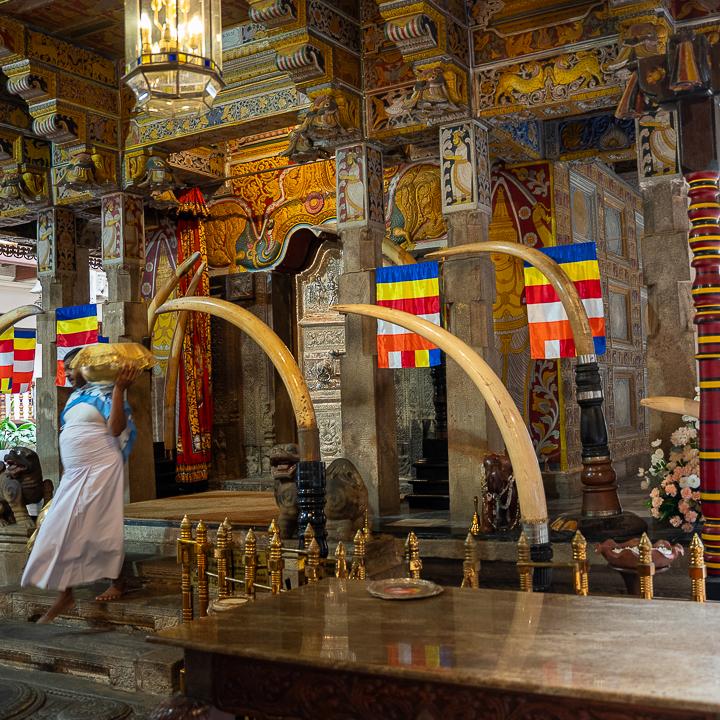 Day 9 – Kandy Spiritual Reflection Day