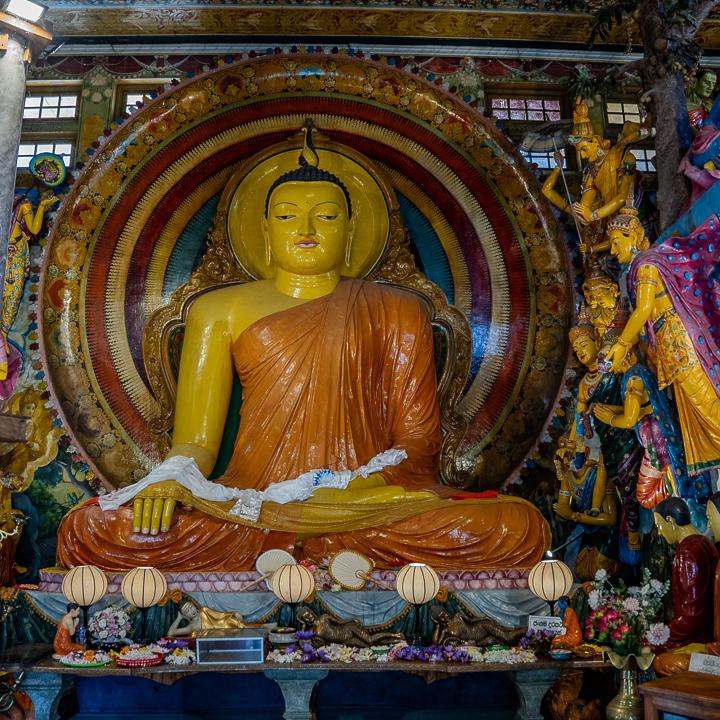 Day 16 – Weligama to Colombo