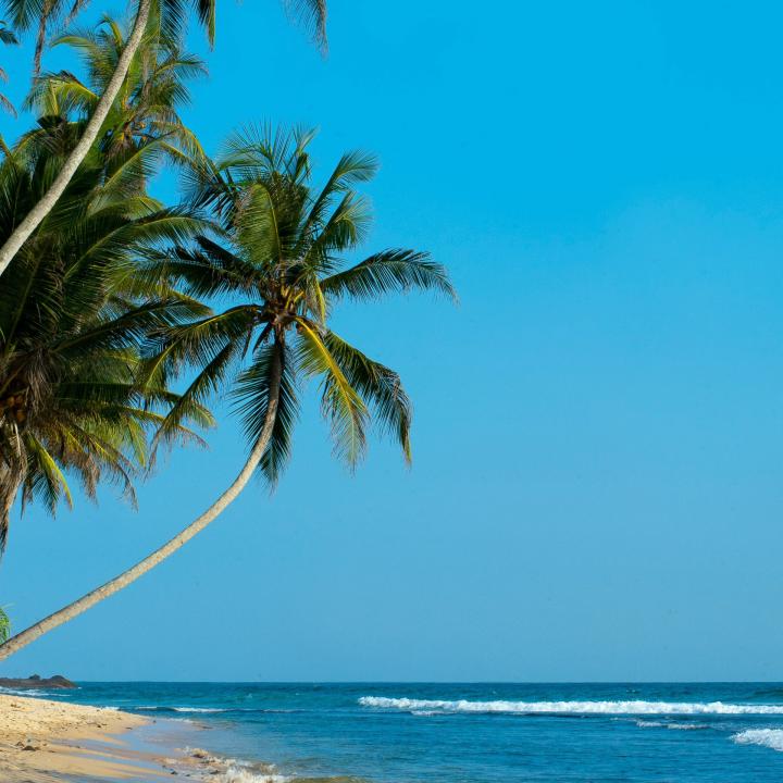Leisure in Hikkaduwa