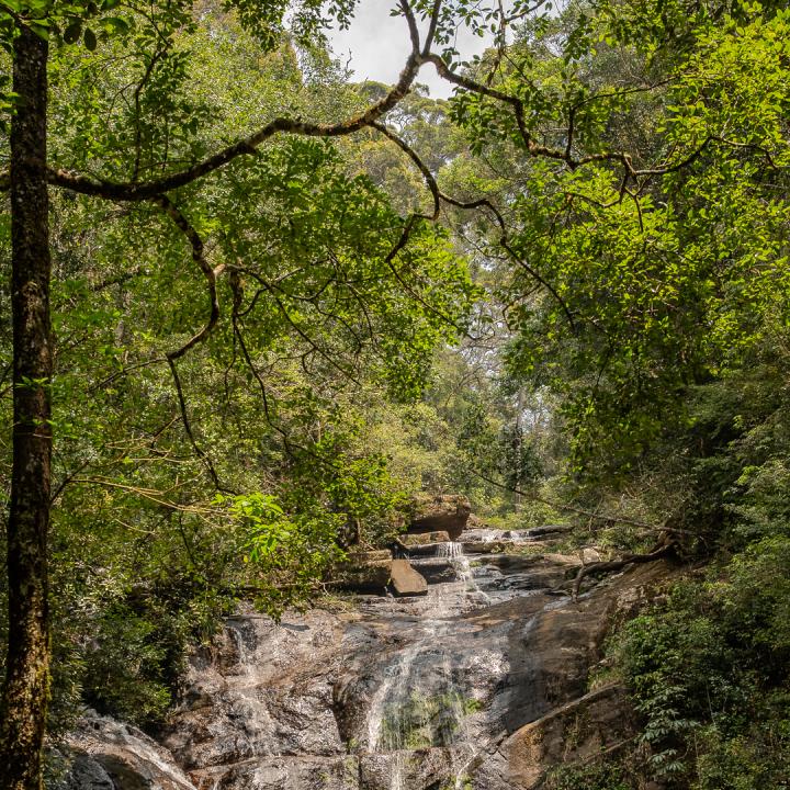 Hikkaduwa to Sinharaja