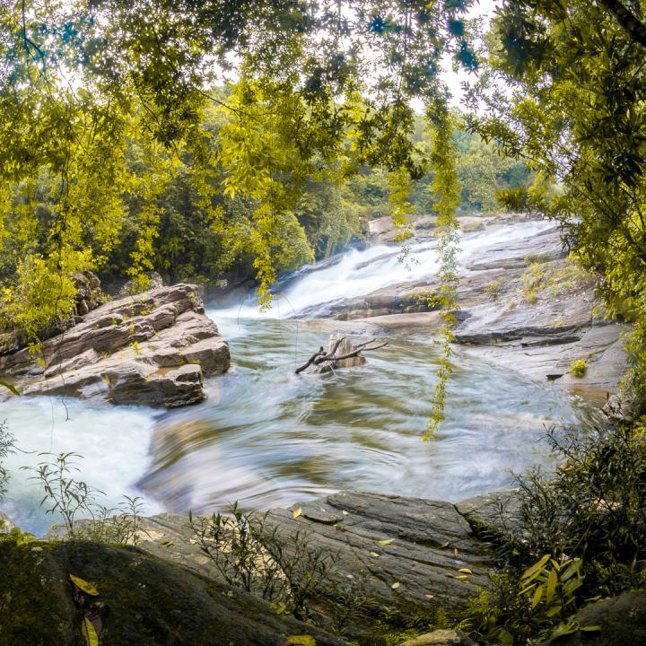 Sinharaja to Kitulgala