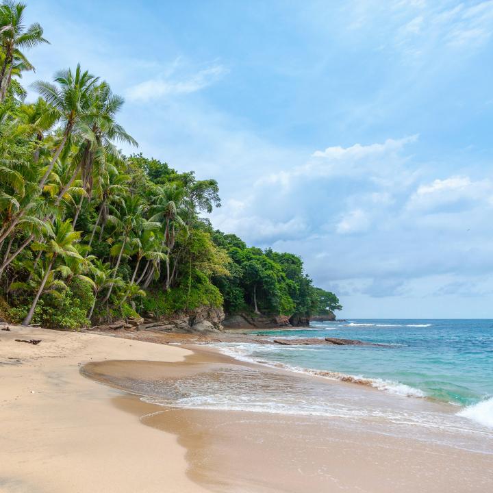 DAY 1 – Arrival in Sri Lanka (Negombo)