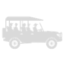 Wild Safari