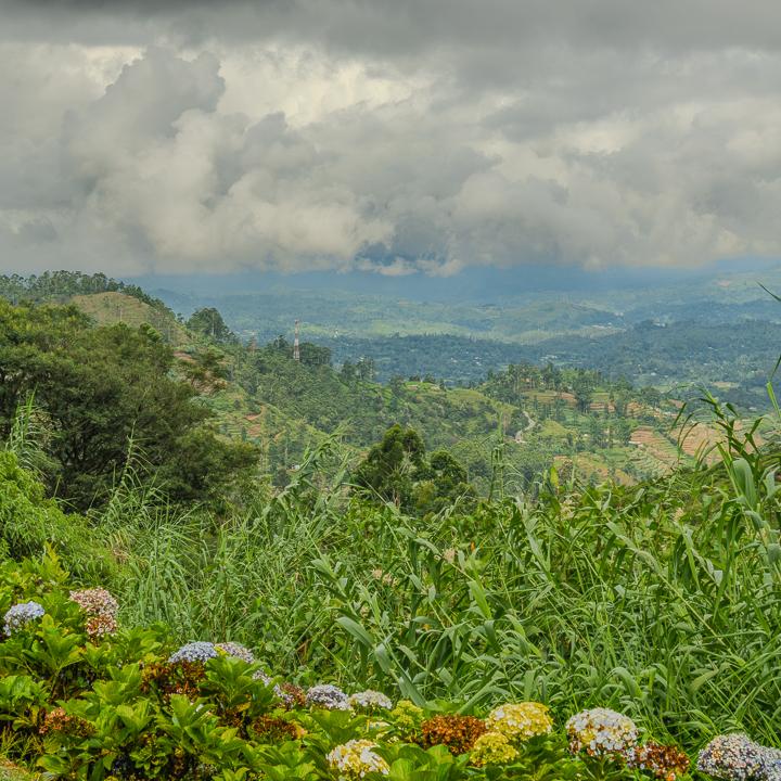 Day 6 – Nuwara Eliya